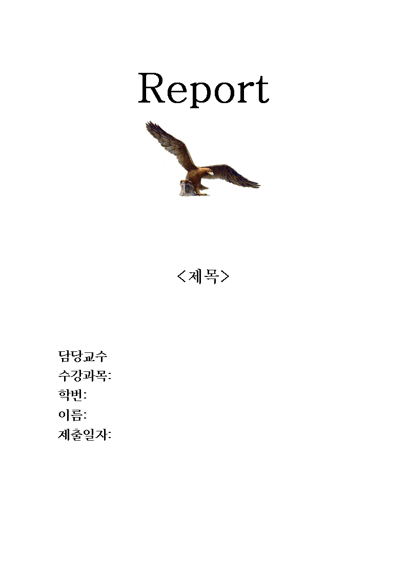 report8001.png