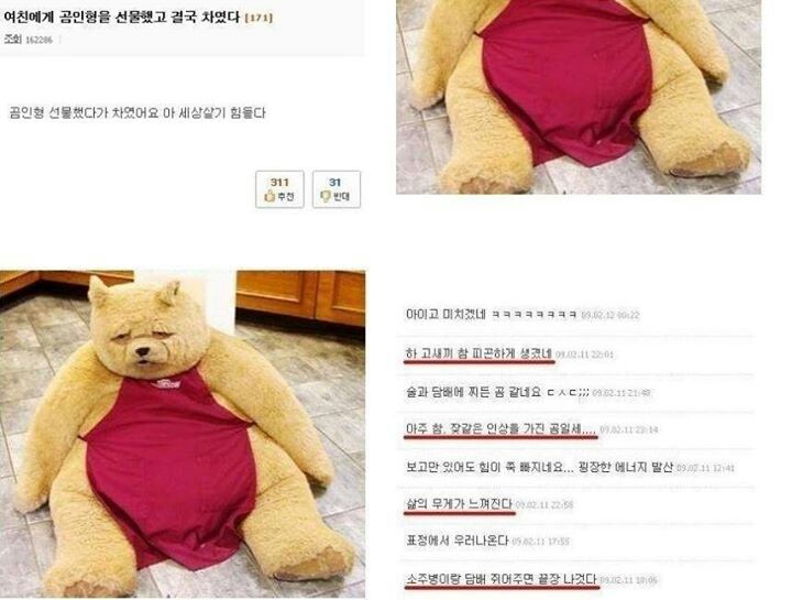 곰인형줫더니 차임 사랑학개론 부산대 학생 커뮤니티 마이피누