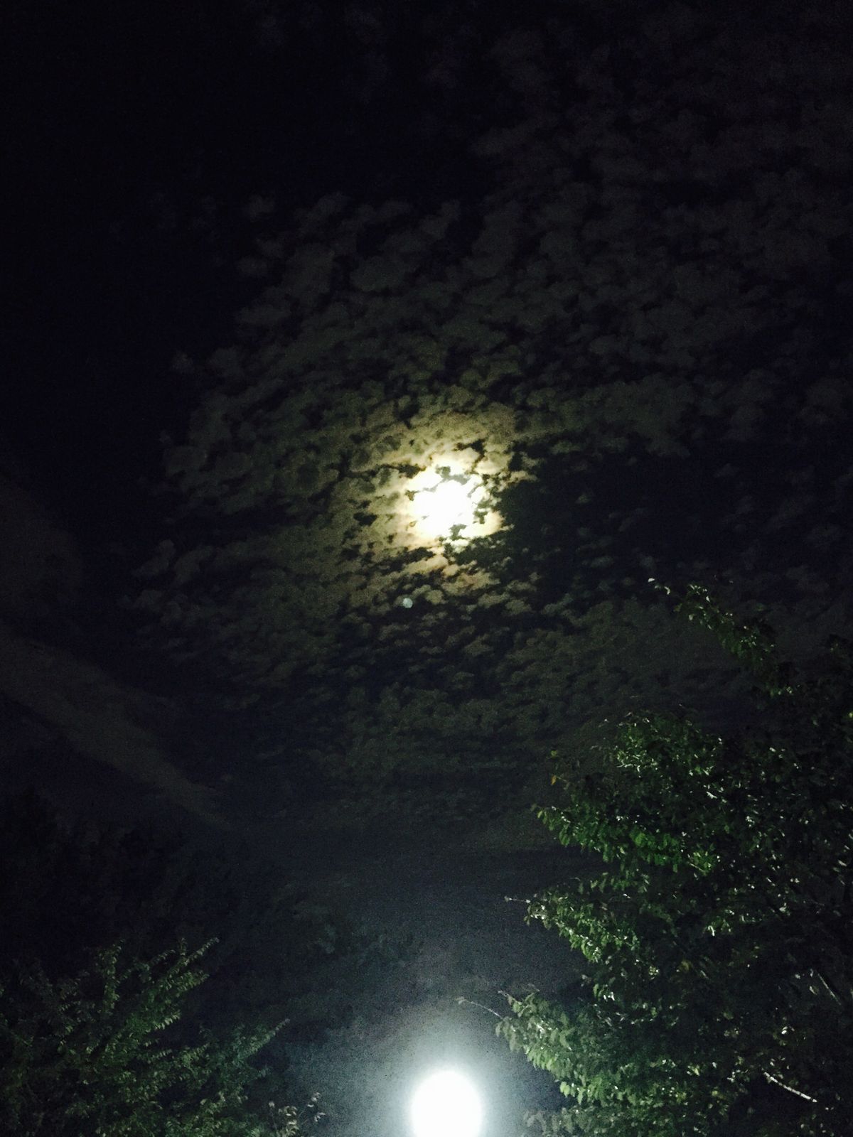 image.jpg : 추석때 부산대 넉터에서 찍은달