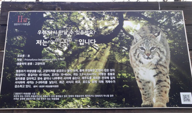 HmbfQhU.jpg : 한국의 멸종위기 동물..