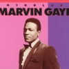 기억리듬