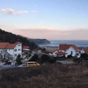 피놀키오
