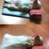 선형대수학