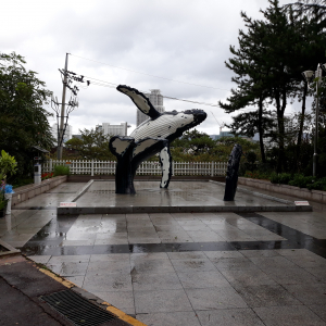 북괴응딩이폭격