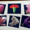 article thumbnail