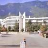 article thumbnail