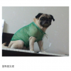 article thumbnail