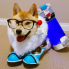 article thumbnail