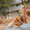 article thumbnail