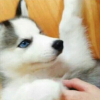 article thumbnail