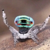 article thumbnail